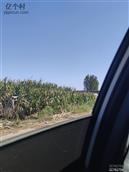 河北省,邯郸市,大名县,束馆镇,刘辛庄村