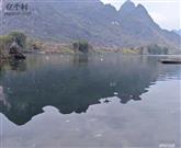 广西,河池市,宜州区,洛西镇,枫木村
