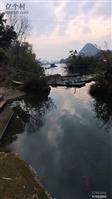 广西,河池市,宜州区,洛西镇,枫木村