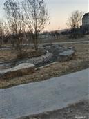 山东省,滨州市,滨城区,杨柳雪镇,丛家村