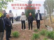 陕西省,渭南市,澄城县,王庄镇,蔡邓村