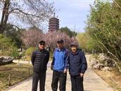 陕西省,延安市,延长县,黑家堡镇,瓦村