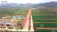 陕西省,宝鸡市,扶风县,天度镇,韩家窑村