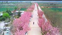 陕西省,宝鸡市,扶风县,天度镇,韩家窑村