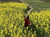 湖南省,邵阳市,洞口县,岩山乡,斗山村