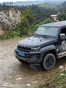 四川省,内江市,资中县,新桥镇,石岭村