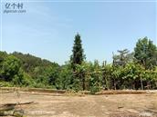 四川省,内江市,资中县,新桥镇,石岭村