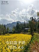 四川省,达州市,宣汉县,茶河乡,簝叶村