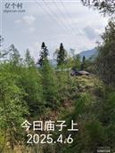 四川省,达州市,宣汉县,茶河乡,簝叶村