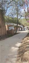 陕西省,铜川市,耀州区,小丘镇,焦子河村