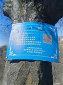 山西省,长治市,武乡县,丰州镇,曹村