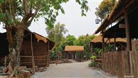 云南省,文山州,文山市,柳井乡,斗咀村