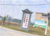 牛寨村 