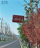 安徽省,宿州市,埇桥区,夹沟镇,镇头村
