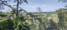 湖南省,株洲市,醴陵市,仙霞镇,清安铺村