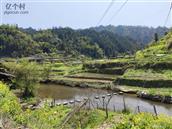 贵州省,黔东南州,黎平县,坝寨乡,高场村