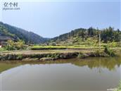 贵州省,黔东南州,黎平县,坝寨乡,高场村