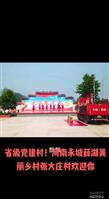 河南省,商丘市,永城市,薛湖镇,张大庄村