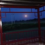 后孙村 乡村的夜晚
 
夜幕，如一块巨大的黑色绒布，缓缓地覆盖了整个乡村。白日里的喧嚣与热闹，都随着那渐渐黯淡的天色，被悄然收纳进了时光的褶皱里。
 
路灯，像忠诚的卫士，在寂静的村道两旁依次排开。它们闪烁着温暖而柔和的光芒，努力地驱散着周围的黑暗。那光芒，在这无边的夜色里，显得格外珍贵，仿佛是夜的眼睛，默默地注视着这片宁静的土地。
 
而在那高远的天空中，明亮的月亮正冉冉升起。它宛如一颗被精心打磨过的白玉盘，散发着清冷而圣洁的光辉。那光芒，如同瀑布一般，倾洒而下，轻柔地抚摸着乡村的每一寸土地。
 
村头的池塘，在月光的照耀下，宛如一面巨大的银镜。水面波光粼粼，像是无数颗细碎的钻石在闪烁。偶尔，一阵微风吹过，水面上便泛起层层涟漪，打破了那原本平静如镜的画面。池塘里的荷叶，在月光下投下一片片黑影，仿佛是一幅天然的水墨画。荷叶上的水珠，在月光的映照下，晶莹剔透，宛如一颗颗珍珠，随时都有可能滚落下来。
 
不远处的凉亭，也被月光照亮了。它静静地矗立在那里，像是一位历经沧桑的老人，默默地守护着这个乡村。凉亭的柱子在月光下投下长长的影子，仿佛是它伸展的手臂，想要拥抱这美好的夜色。亭顶的瓦片，在月光的照耀下，闪烁着淡淡的银光，显得格外古朴而典雅。
 
此时，整个乡村都沉浸在这如梦如幻的月色里。偶尔传来的几声犬吠，打破了夜的寂静，却又很快被这无边的夜色所吞没。远处，传来了几声蛙鸣，那清脆的声音，仿佛是大自然奏响的夜曲。
 
我静静地站在这乡村的夜色里，感受着这宁静而美好的一切。心中的烦恼与疲惫，都随着这轻柔的月光，渐渐消散。在这乡村的夜，我仿佛找到了心灵的归宿，那是一种远离喧嚣、回归自然的宁静与满足。
 
夜，还在继续；月光，还在流淌。而这乡村的夜，将永远铭刻在我的记忆深处，成为我心中最美好的回忆。