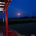 后孙村 乡村的夜晚
 
夜幕，如一块巨大的黑色绒布，缓缓地覆盖了整个乡村。白日里的喧嚣与热闹，都随着那渐渐黯淡的天色，被悄然收纳进了时光的褶皱里。
 
路灯，像忠诚的卫士，在寂静的村道两旁依次排开。它们闪烁着温暖而柔和的光芒，努力地驱散着周围的黑暗。那光芒，在这无边的夜色里，显得格外珍贵，仿佛是夜的眼睛，默默地注视着这片宁静的土地。
 
而在那高远的天空中，明亮的月亮正冉冉升起。它宛如一颗被精心打磨过的白玉盘，散发着清冷而圣洁的光辉。那光芒，如同瀑布一般，倾洒而下，轻柔地抚摸着乡村的每一寸土地。
 
村头的池塘，在月光的照耀下，宛如一面巨大的银镜。水面波光粼粼，像是无数颗细碎的钻石在闪烁。偶尔，一阵微风吹过，水面上便泛起层层涟漪，打破了那原本平静如镜的画面。池塘里的荷叶，在月光下投下一片片黑影，仿佛是一幅天然的水墨画。荷叶上的水珠，在月光的映照下，晶莹剔透，宛如一颗颗珍珠，随时都有可能滚落下来。
 
不远处的凉亭，也被月光照亮了。它静静地矗立在那里，像是一位历经沧桑的老人，默默地守护着这个乡村。凉亭的柱子在月光下投下长长的影子，仿佛是它伸展的手臂，想要拥抱这美好的夜色。亭顶的瓦片，在月光的照耀下，闪烁着淡淡的银光，显得格外古朴而典雅。
 
此时，整个乡村都沉浸在这如梦如幻的月色里。偶尔传来的几声犬吠，打破了夜的寂静，却又很快被这无边的夜色所吞没。远处，传来了几声蛙鸣，那清脆的声音，仿佛是大自然奏响的夜曲。
 
我静静地站在这乡村的夜色里，感受着这宁静而美好的一切。心中的烦恼与疲惫，都随着这轻柔的月光，渐渐消散。在这乡村的夜，我仿佛找到了心灵的归宿，那是一种远离喧嚣、回归自然的宁静与满足。
 
夜，还在继续；月光，还在流淌。而这乡村的夜，将永远铭刻在我的记忆深处，成为我心中最美好的回忆。