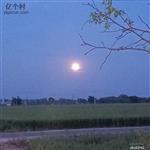 后孙村 乡村的夜晚
 
夜幕，如一块巨大的黑色绒布，缓缓地覆盖了整个乡村。白日里的喧嚣与热闹，都随着那渐渐黯淡的天色，被悄然收纳进了时光的褶皱里。
 
路灯，像忠诚的卫士，在寂静的村道两旁依次排开。它们闪烁着温暖而柔和的光芒，努力地驱散着周围的黑暗。那光芒，在这无边的夜色里，显得格外珍贵，仿佛是夜的眼睛，默默地注视着这片宁静的土地。
 
而在那高远的天空中，明亮的月亮正冉冉升起。它宛如一颗被精心打磨过的白玉盘，散发着清冷而圣洁的光辉。那光芒，如同瀑布一般，倾洒而下，轻柔地抚摸着乡村的每一寸土地。
 
村头的池塘，在月光的照耀下，宛如一面巨大的银镜。水面波光粼粼，像是无数颗细碎的钻石在闪烁。偶尔，一阵微风吹过，水面上便泛起层层涟漪，打破了那原本平静如镜的画面。池塘里的荷叶，在月光下投下一片片黑影，仿佛是一幅天然的水墨画。荷叶上的水珠，在月光的映照下，晶莹剔透，宛如一颗颗珍珠，随时都有可能滚落下来。
 
不远处的凉亭，也被月光照亮了。它静静地矗立在那里，像是一位历经沧桑的老人，默默地守护着这个乡村。凉亭的柱子在月光下投下长长的影子，仿佛是它伸展的手臂，想要拥抱这美好的夜色。亭顶的瓦片，在月光的照耀下，闪烁着淡淡的银光，显得格外古朴而典雅。
 
此时，整个乡村都沉浸在这如梦如幻的月色里。偶尔传来的几声犬吠，打破了夜的寂静，却又很快被这无边的夜色所吞没。远处，传来了几声蛙鸣，那清脆的声音，仿佛是大自然奏响的夜曲。
 
我静静地站在这乡村的夜色里，感受着这宁静而美好的一切。心中的烦恼与疲惫，都随着这轻柔的月光，渐渐消散。在这乡村的夜，我仿佛找到了心灵的归宿，那是一种远离喧嚣、回归自然的宁静与满足。
 
夜，还在继续；月光，还在流淌。而这乡村的夜，将永远铭刻在我的记忆深处，成为我心中最美好的回忆。