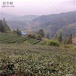 广西,柳州市,三江县,独峒乡,八协村