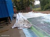 四川省,内江市,资中县,新桥镇,石岭村