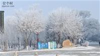 黑龙江省,哈尔滨市,依兰县,依兰镇,五国城社区