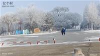 黑龙江省,哈尔滨市,依兰县,依兰镇,五国城社区