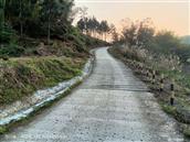 四川省,内江市,资中县,新桥镇,石岭村