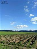 河北省,张家口市,沽源县,长梁乡,南滩村