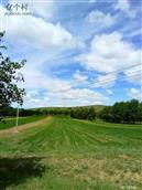 河北省,张家口市,沽源县,长梁乡,南滩村