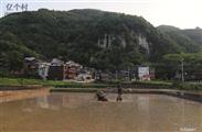 贵州省,黔东南州,黄平县,谷陇镇,山坪村