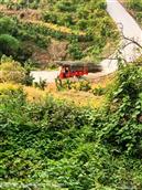 四川省,内江市,资中县,新桥镇,石岭村