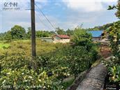 四川省,内江市,资中县,新桥镇,清平村