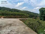 四川省,内江市,资中县,新桥镇,清平村