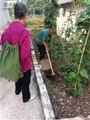 四川省,内江市,资中县,新桥镇,清平村