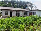 四川省,内江市,资中县,新桥镇,清平村