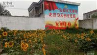 河南省,商丘市,永城市,薛湖镇,张大庄村