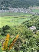 云南省,临沧市,永德县,德党镇,明朗村