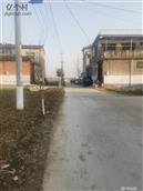 河南省,周口市,郸城县,东风乡,张关庙村