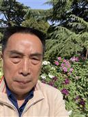山西省,运城市,闻喜县,郭家庄镇,西宋村