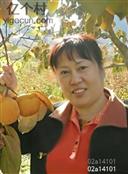 张天峪村 