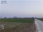 河南省,周口市,郸城县,东风乡,张关庙村