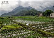 大源村 
