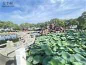 新联村 和谐新联欢迎您