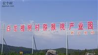 四川省,广元市,剑阁县,白龙镇,槐树村