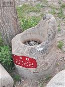 山东省,烟台市,招远市,辛庄镇,北截村