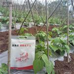 云南省,临沧市,永德县,班卡乡,忙东村