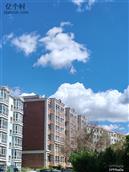 陕西省,延安市,延川县,延川镇,高家圪台村